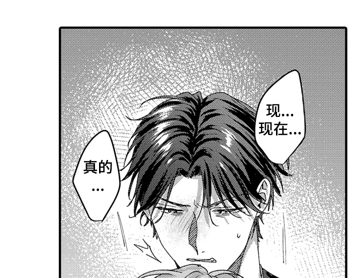 第17章：喜欢29