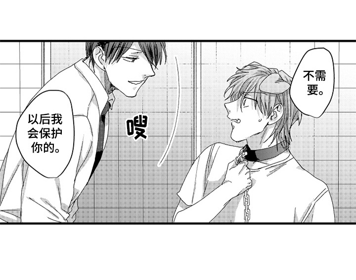 第13章：试药11