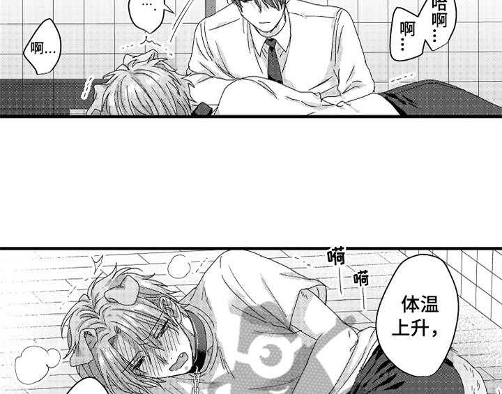 第14章：决定5