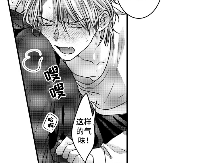 第7章：气味9