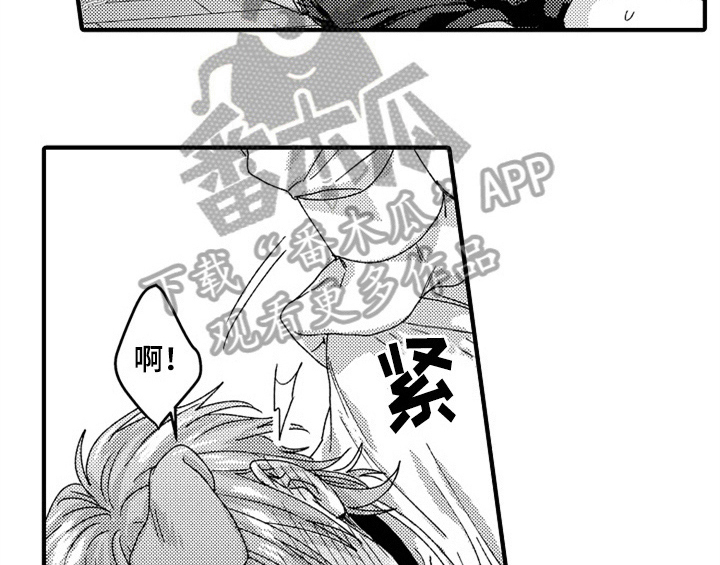 第14章：决定25