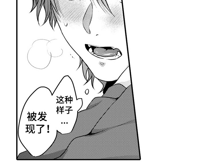 第1章：小偷21