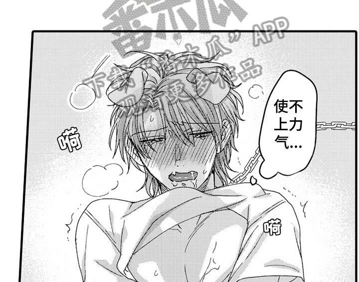 第14章：决定21