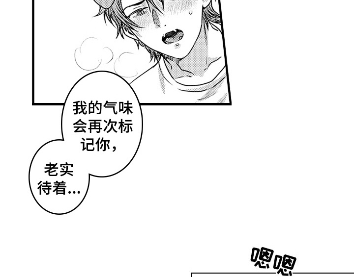 第7章：气味14