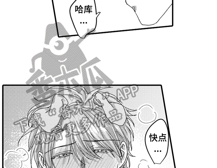 第17章：喜欢33
