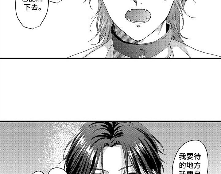 第16章：安排28