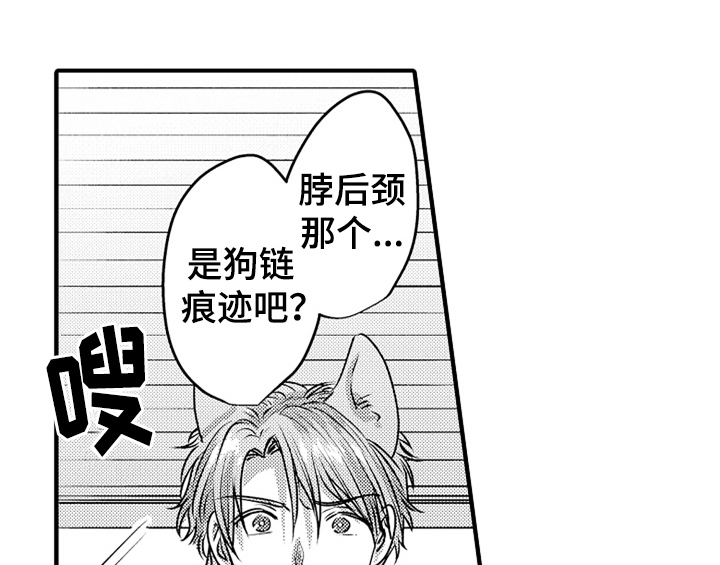 第5章：收留3