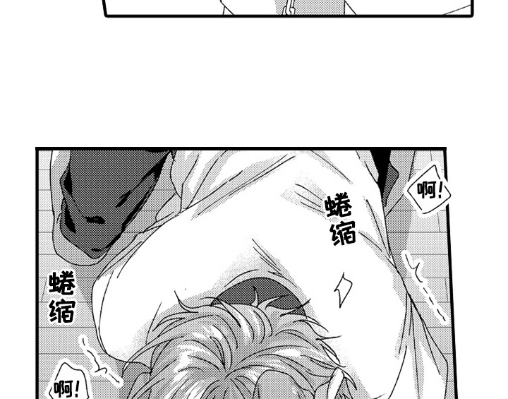 第14章：决定13