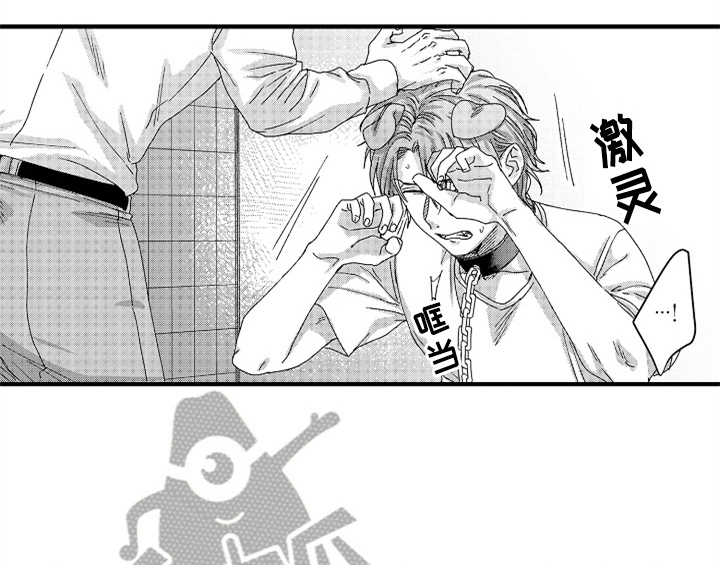 第13章：试药12