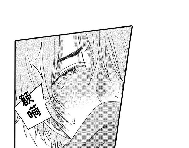 第2章：检查28