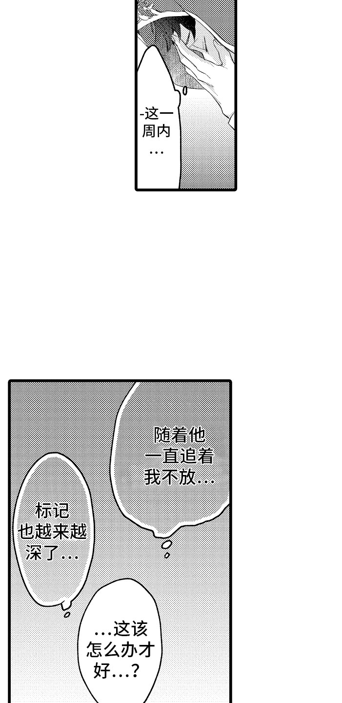 第11章：困局15