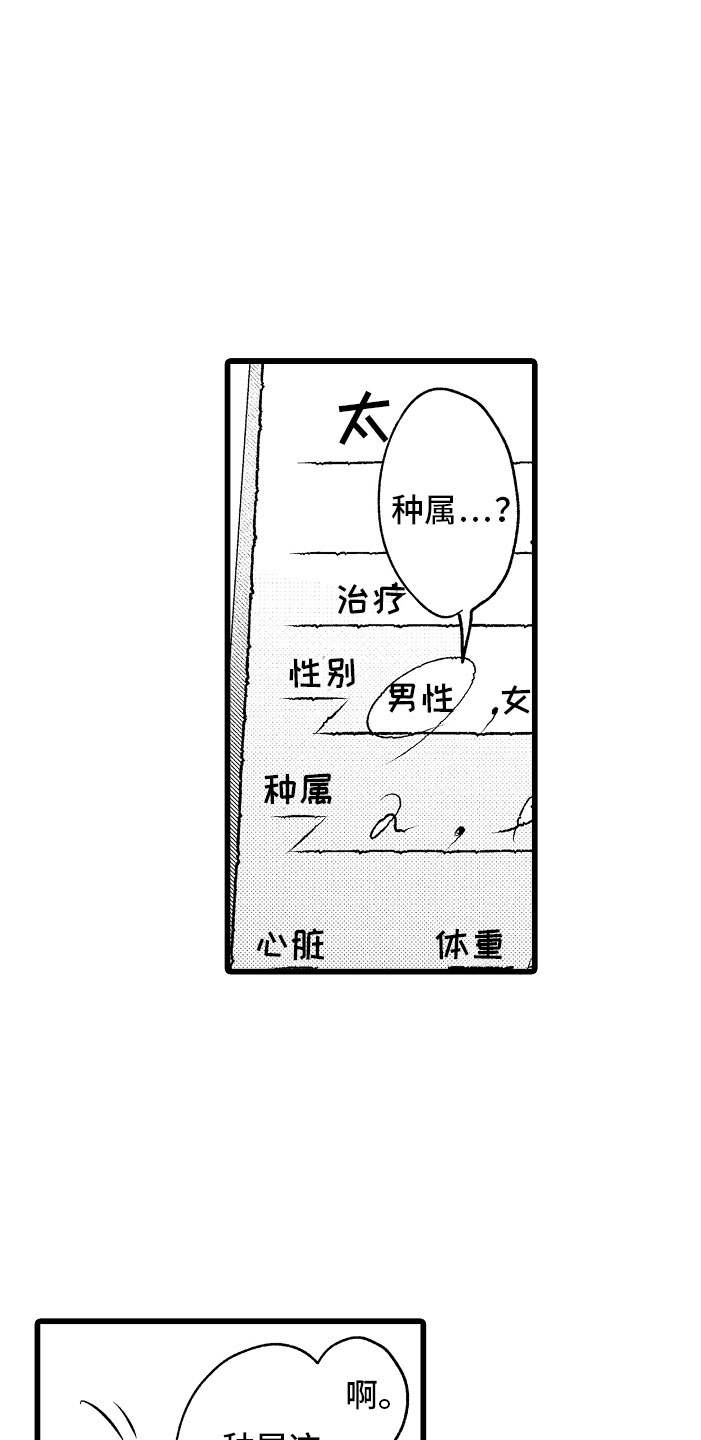 第4章：种属12