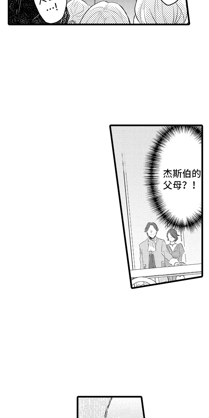 第20章：结婚宣言14