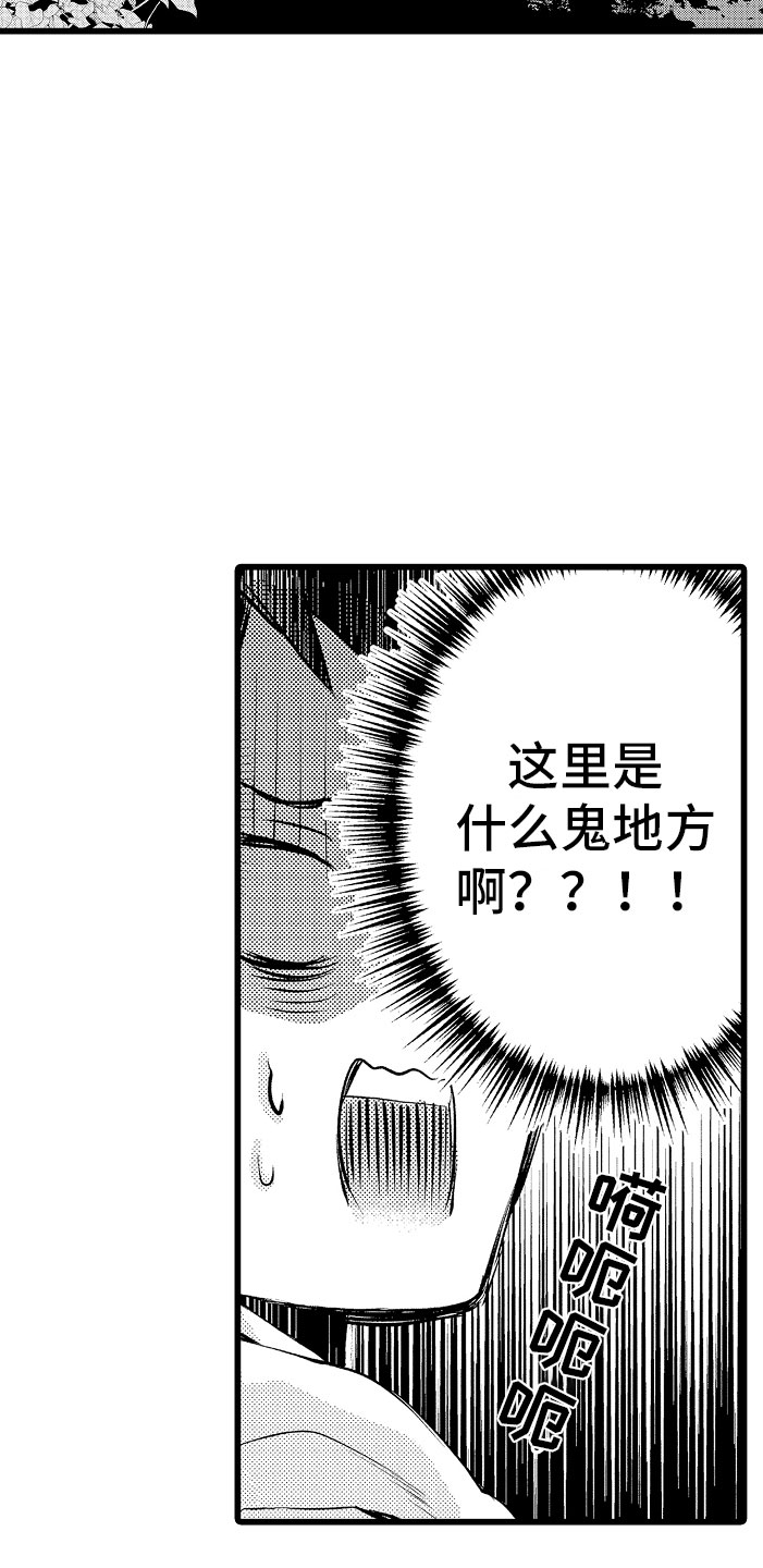 第2章：车祸14