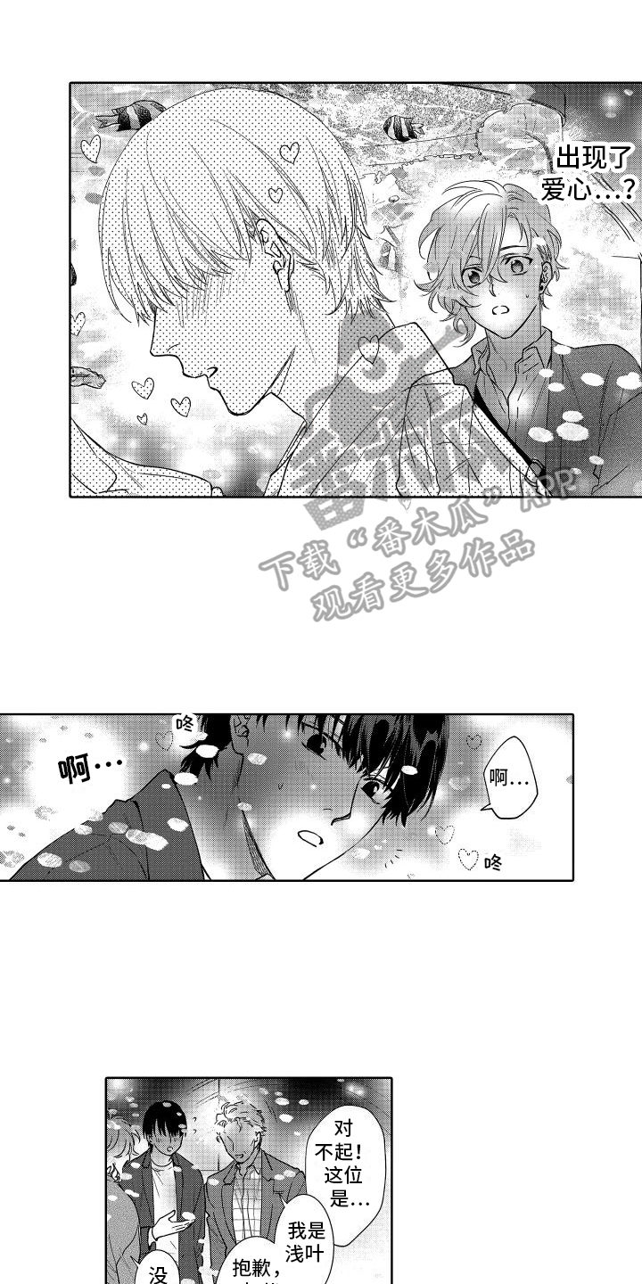第24章：偶像0