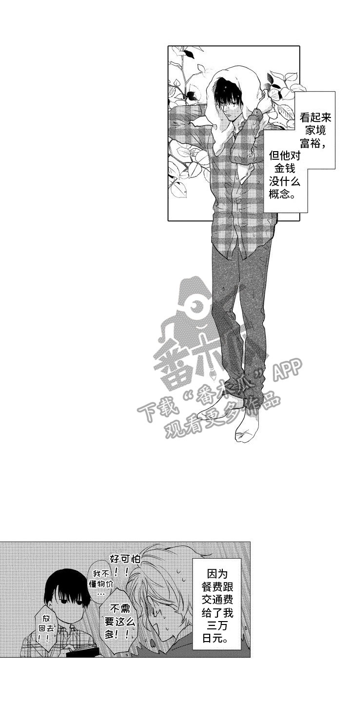 第4章：提议12
