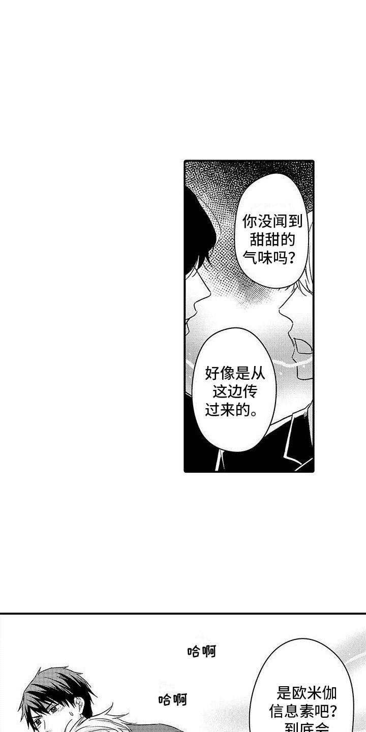 第15章：羡慕14
