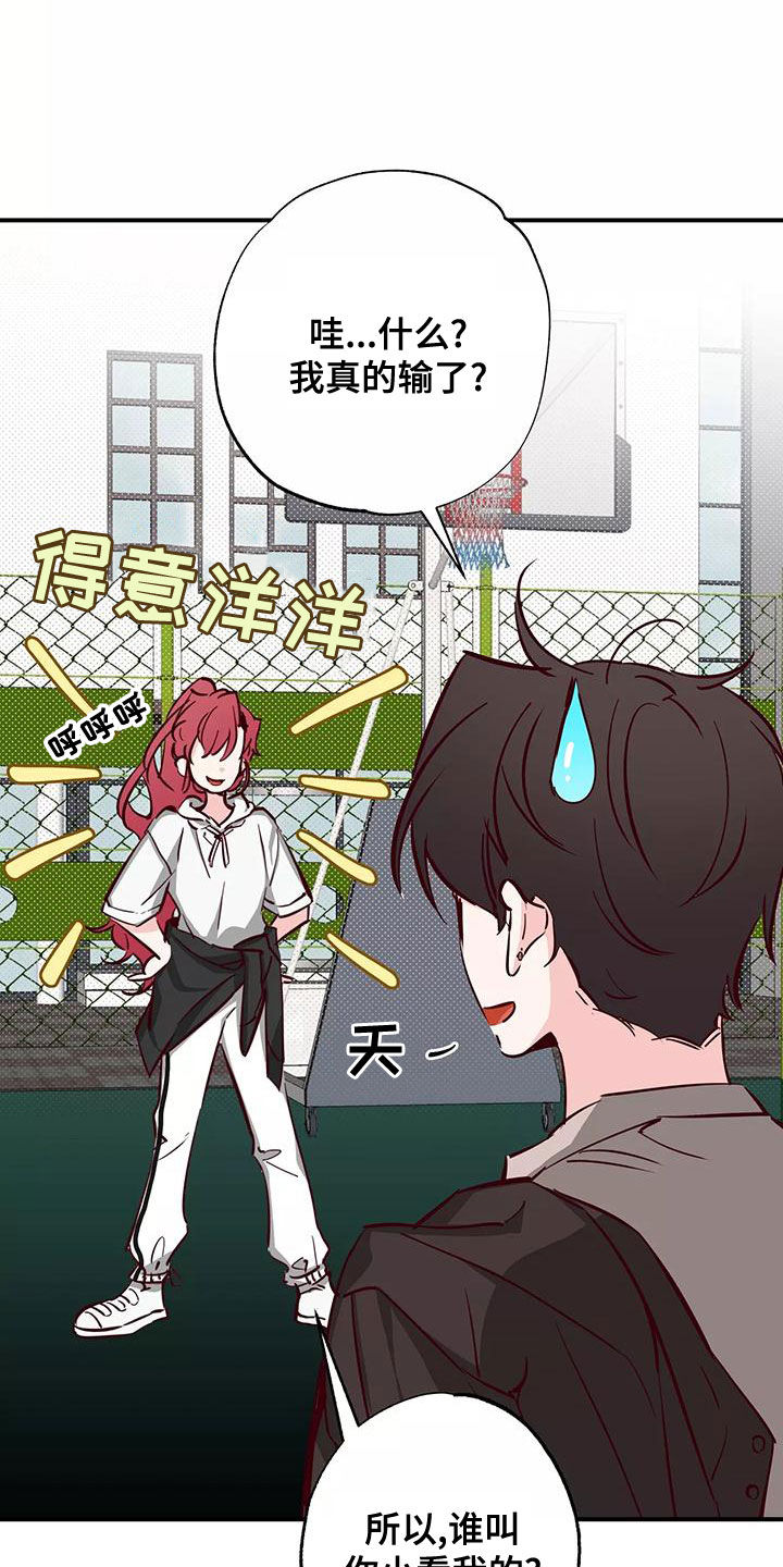 第30章：打球17