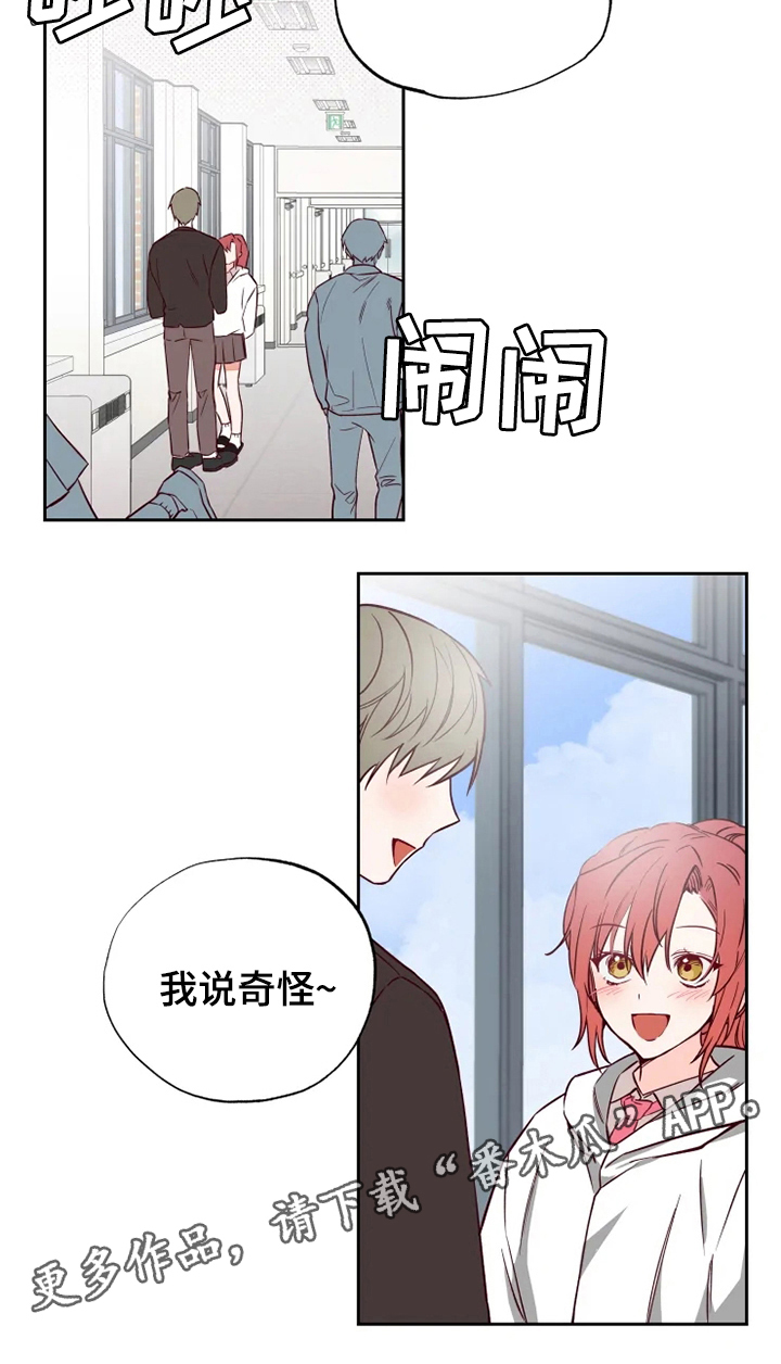 第5章：奇怪15