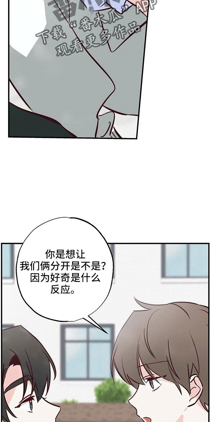 第46章：正在恋爱3