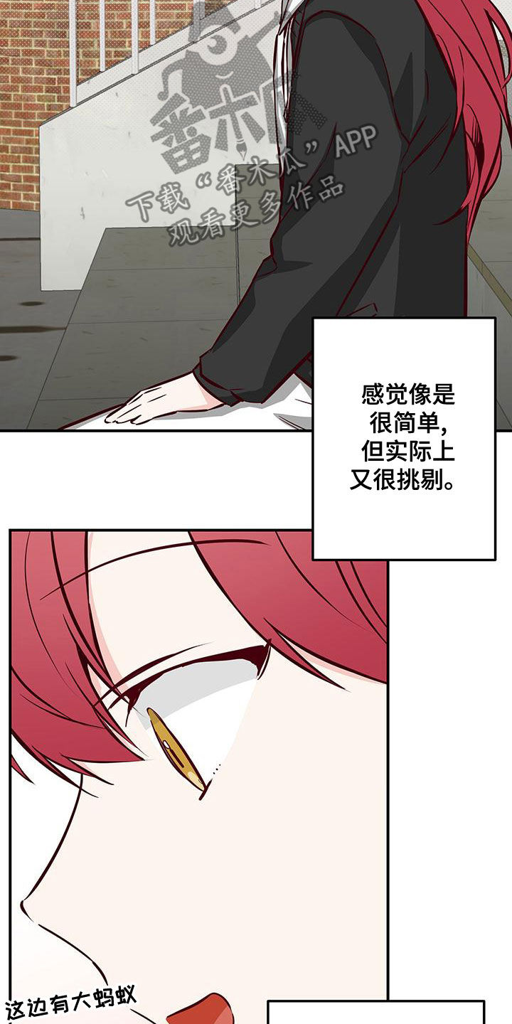 第31章：好奇17