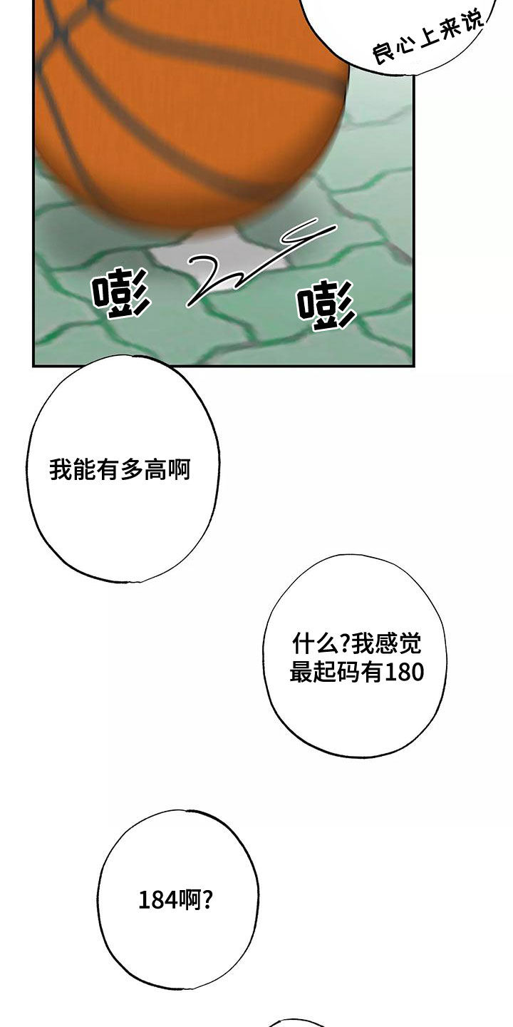第30章：打球15