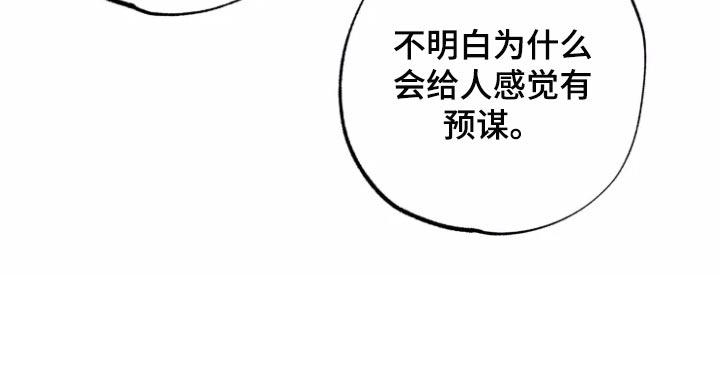 第19章：预谋20