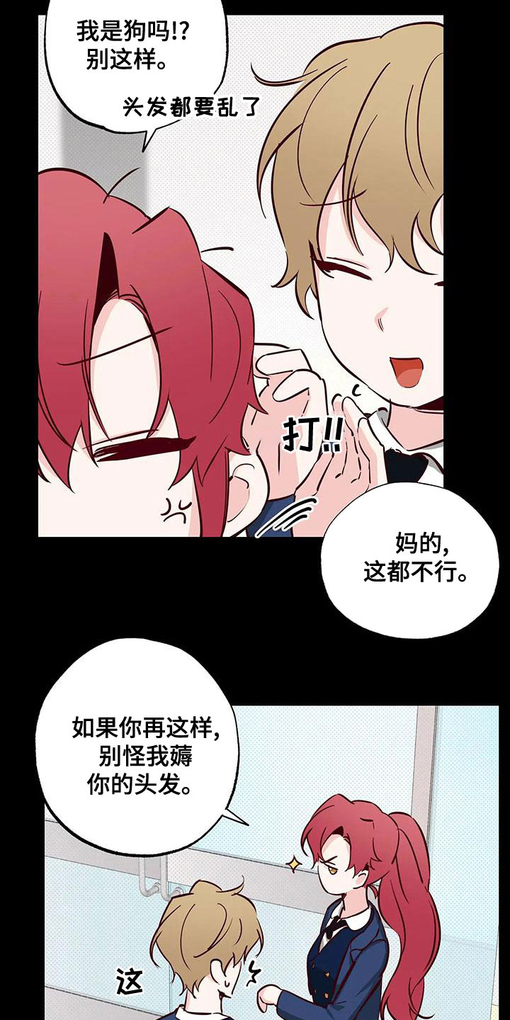 第33章：不要表白11