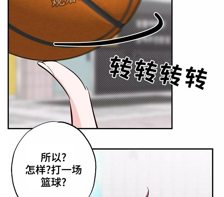 第30章：打球11