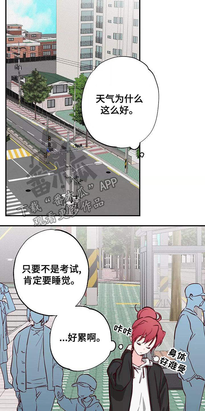 第30章：打球1
