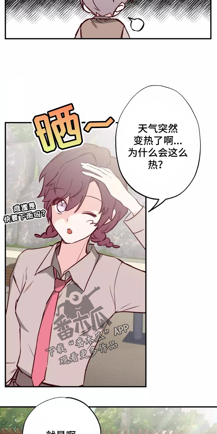第19章：预谋6