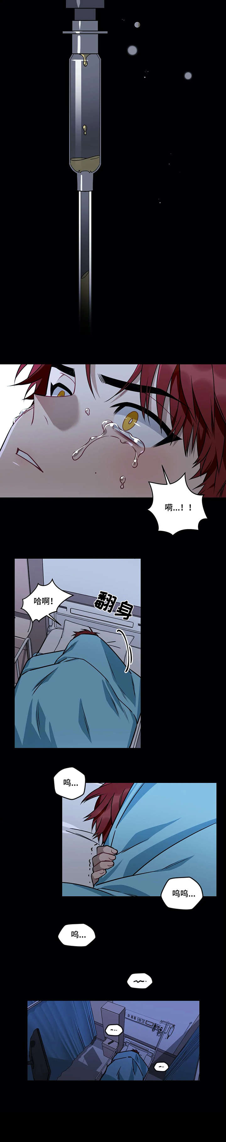 第20章：收养6