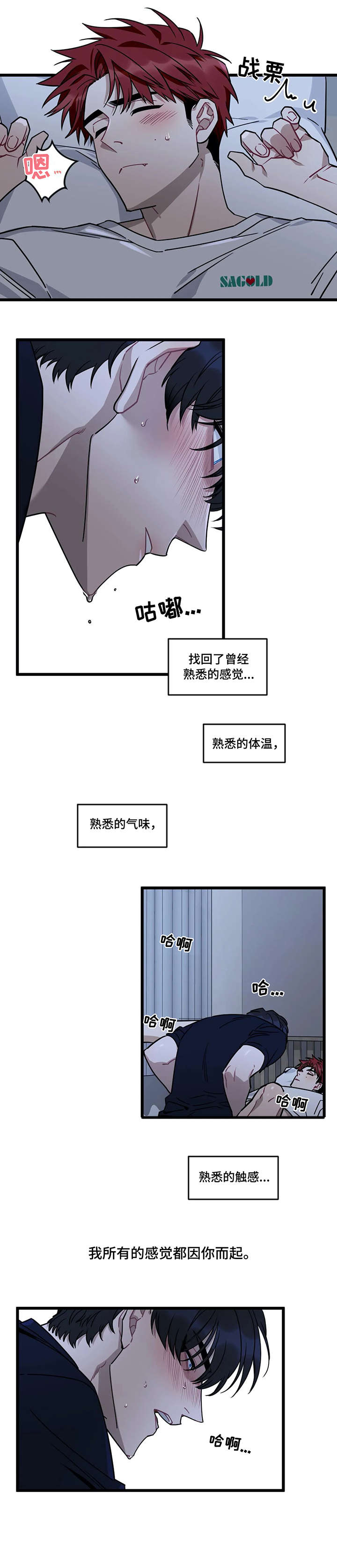第21章：流浪狗1