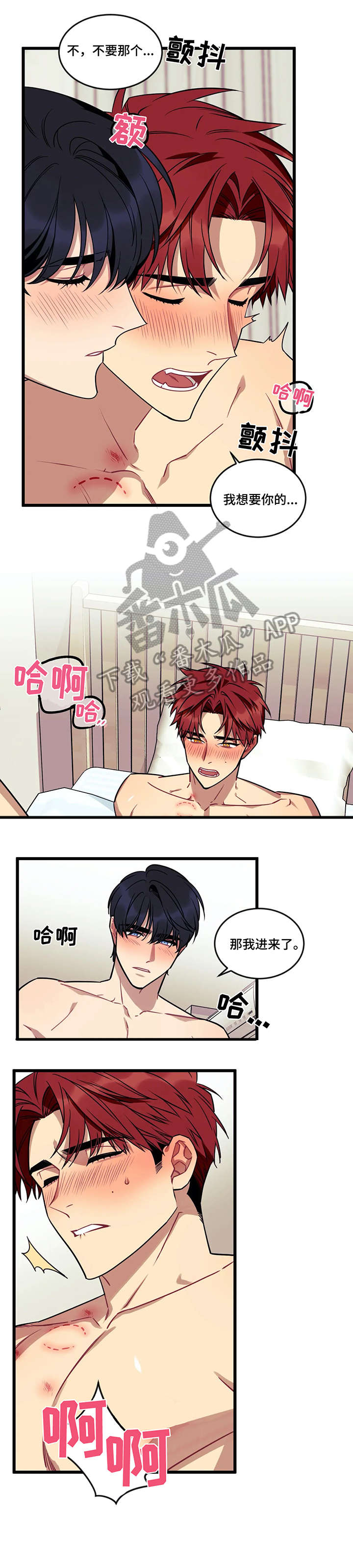 第15章：假象5