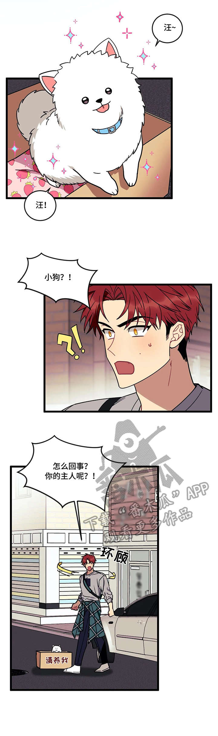 第21章：流浪狗7