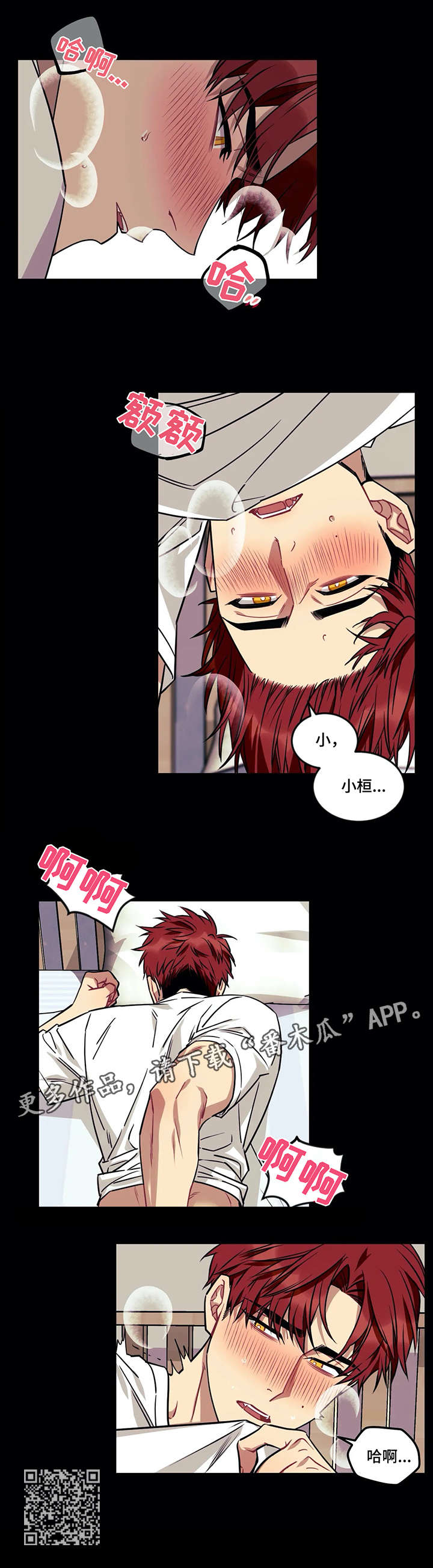 第25章：光8