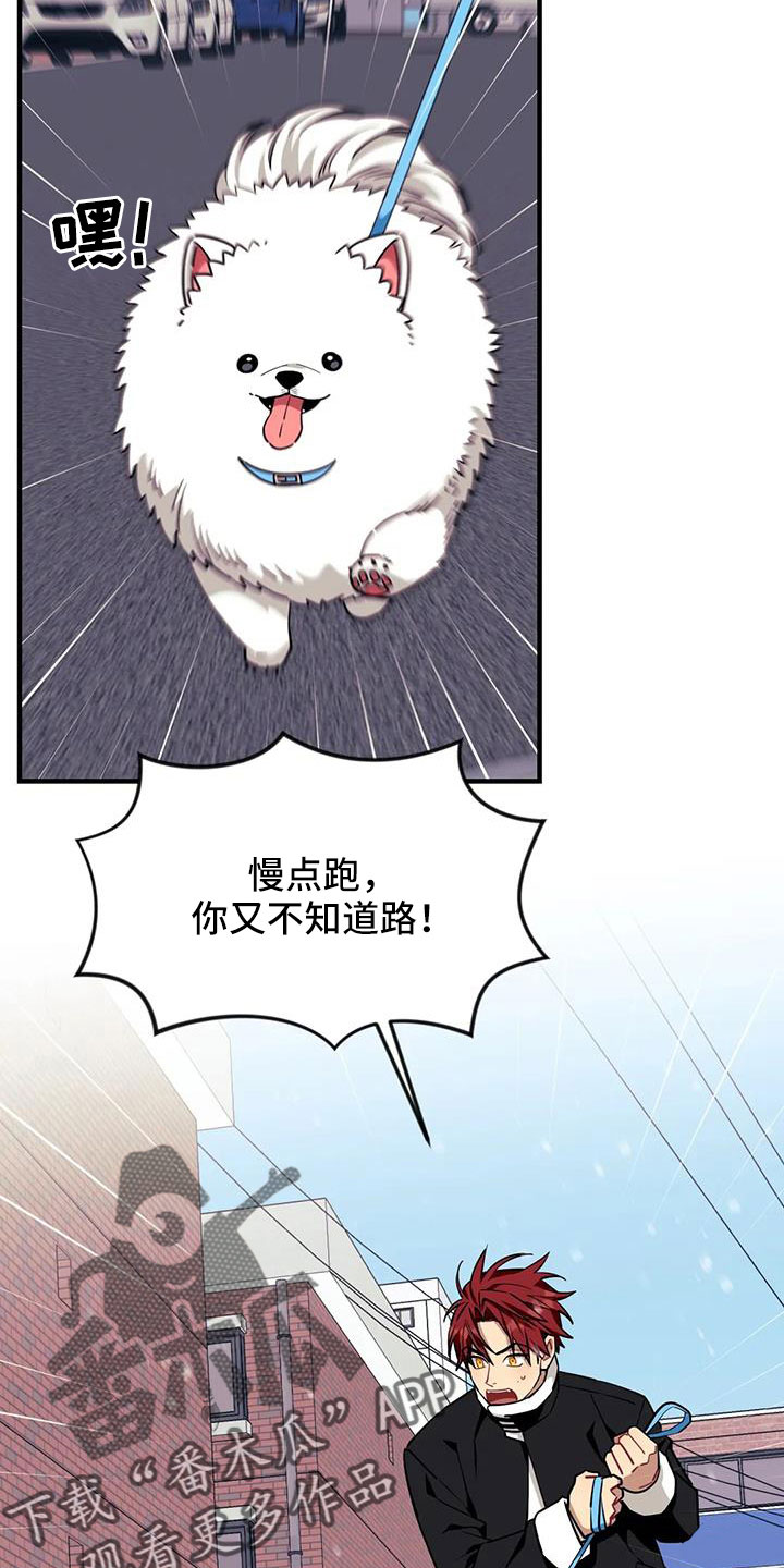 第120章：【第三季】偶遇17