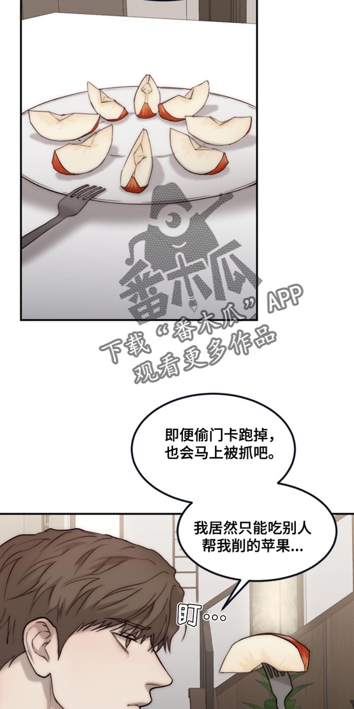 第113章：【第二季】散步13