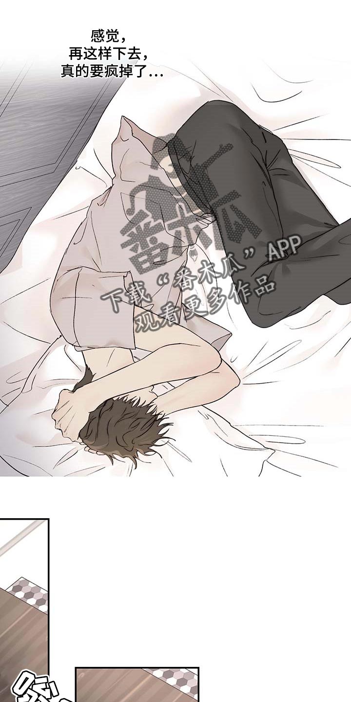 第35章：期待和不安15