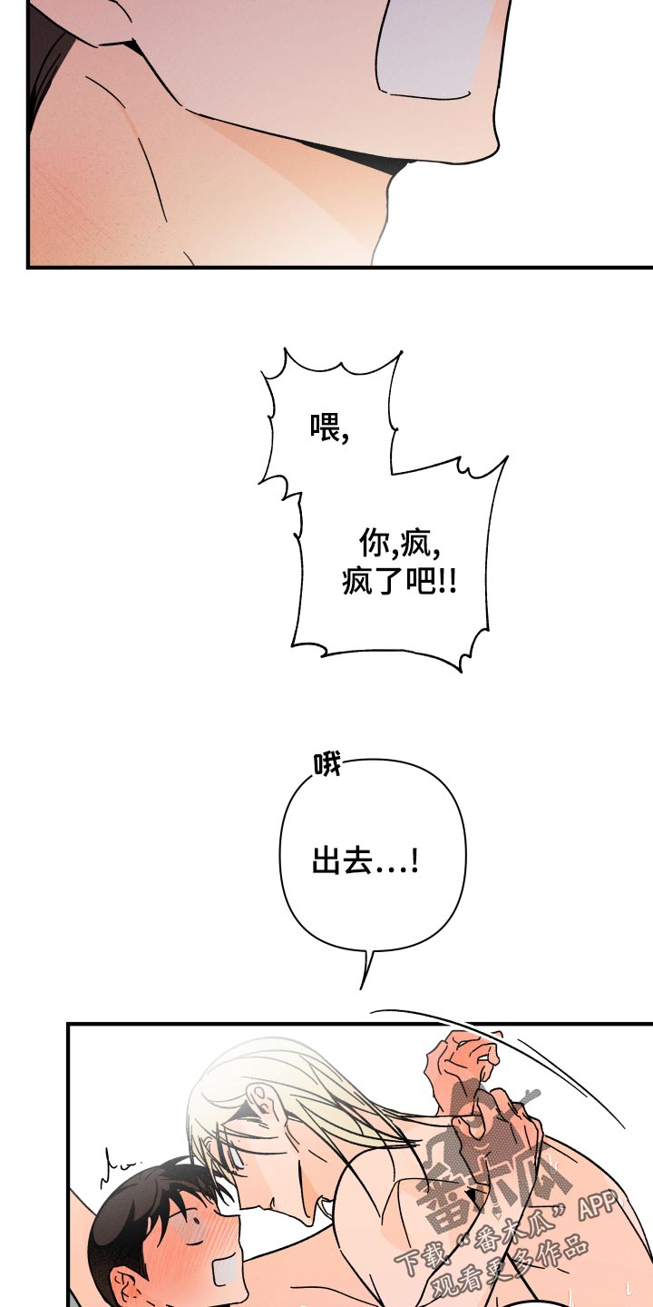 第66章：【番外】捣乱5