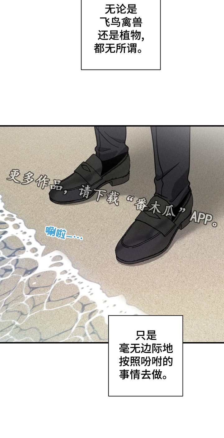 第67章：【番外】你在做什么！11
