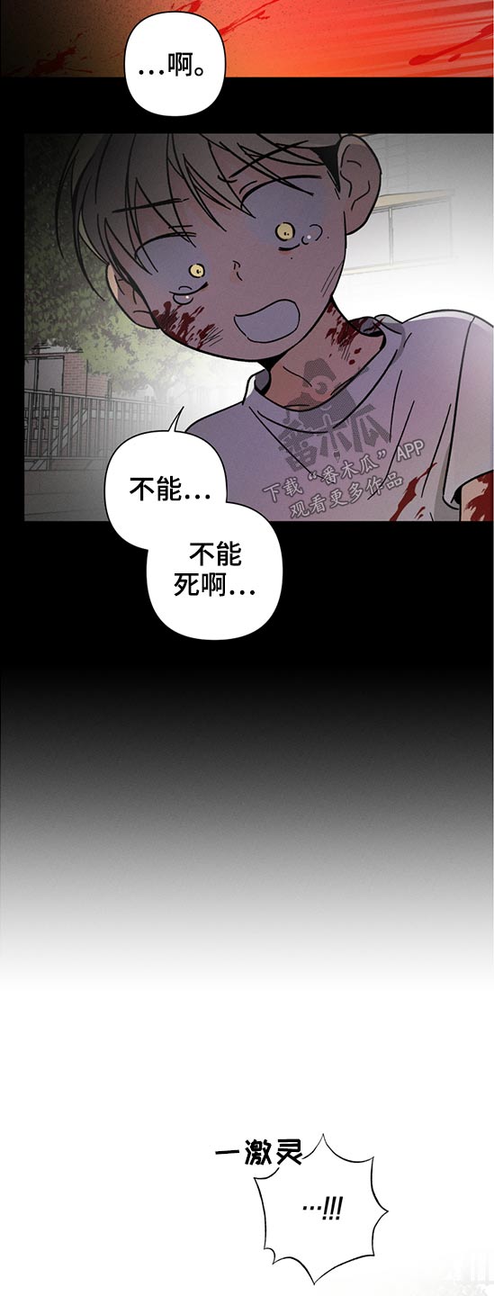 第56章：时间不多了5