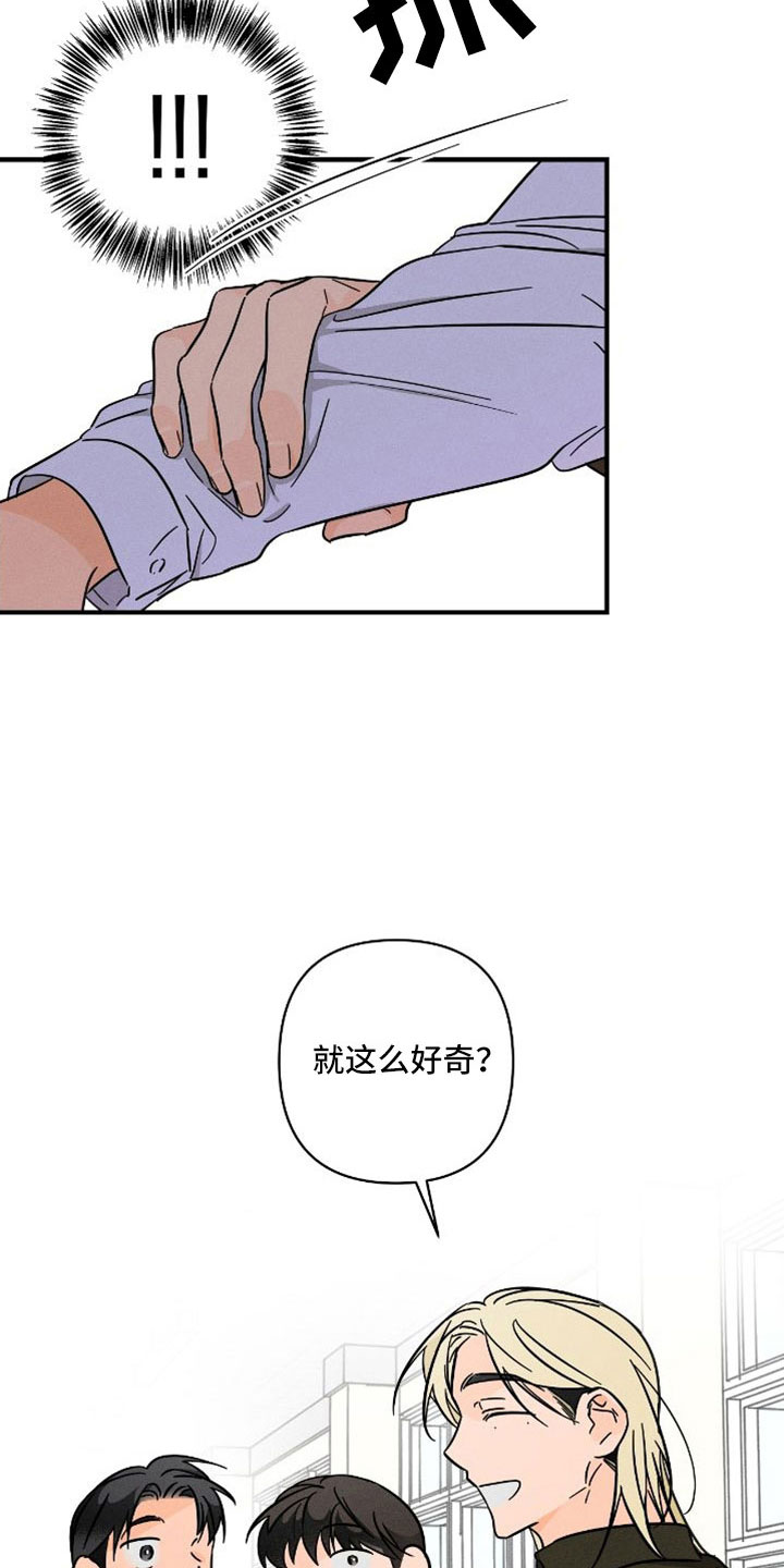 第77章：【番外】尽管问23
