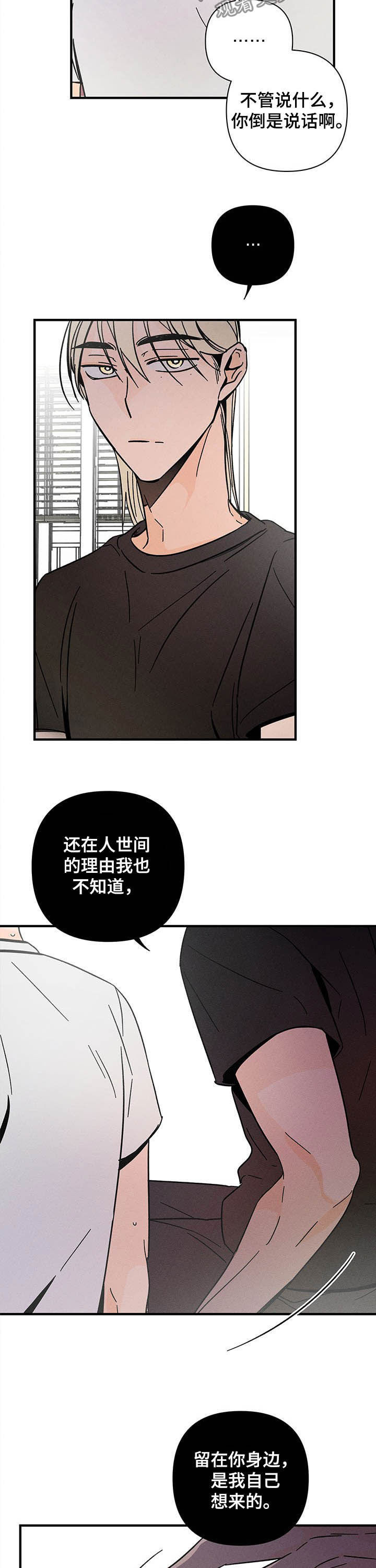 第28章：乱七八糟8