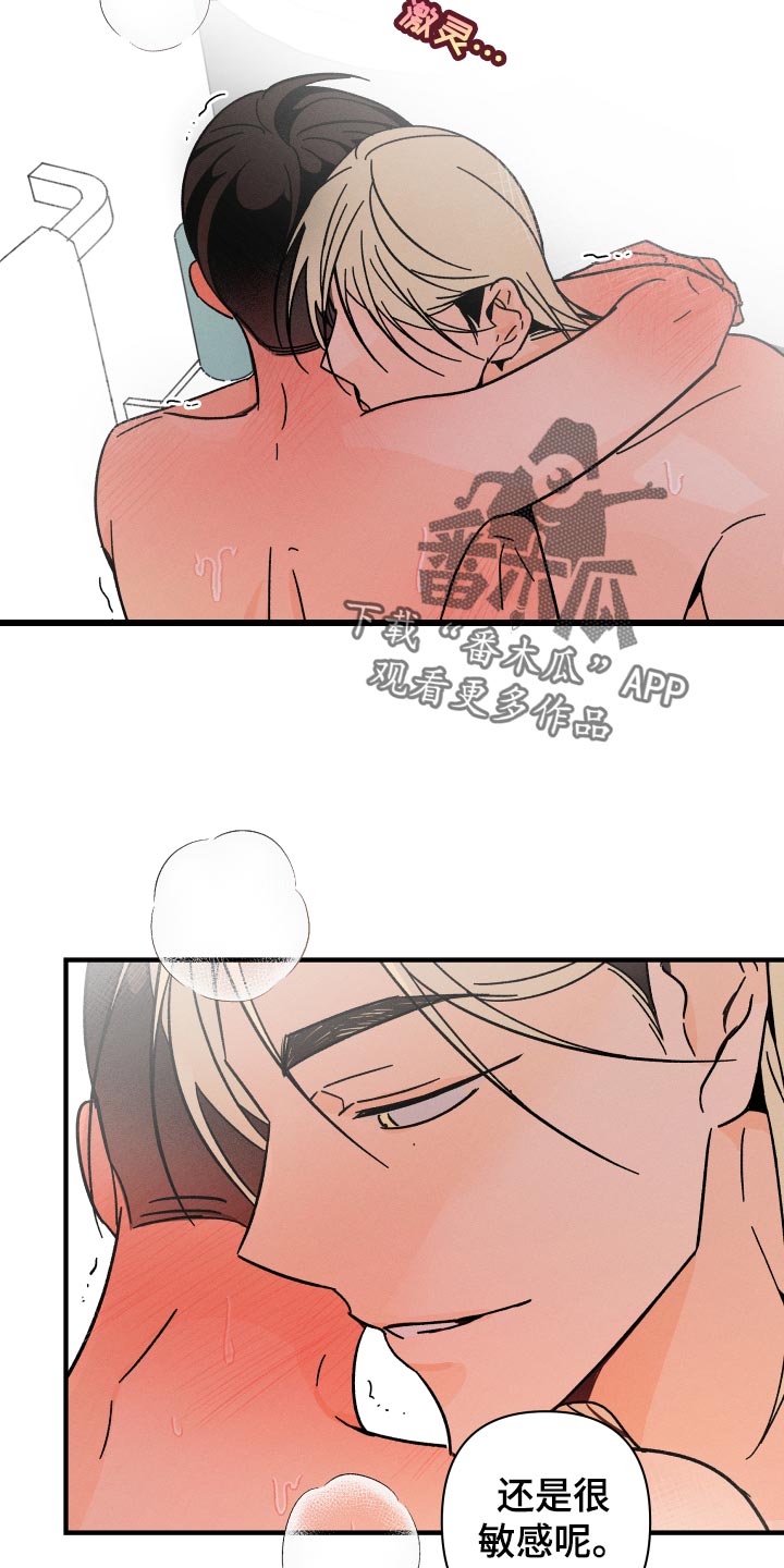 第65章：【番外】自作主张16