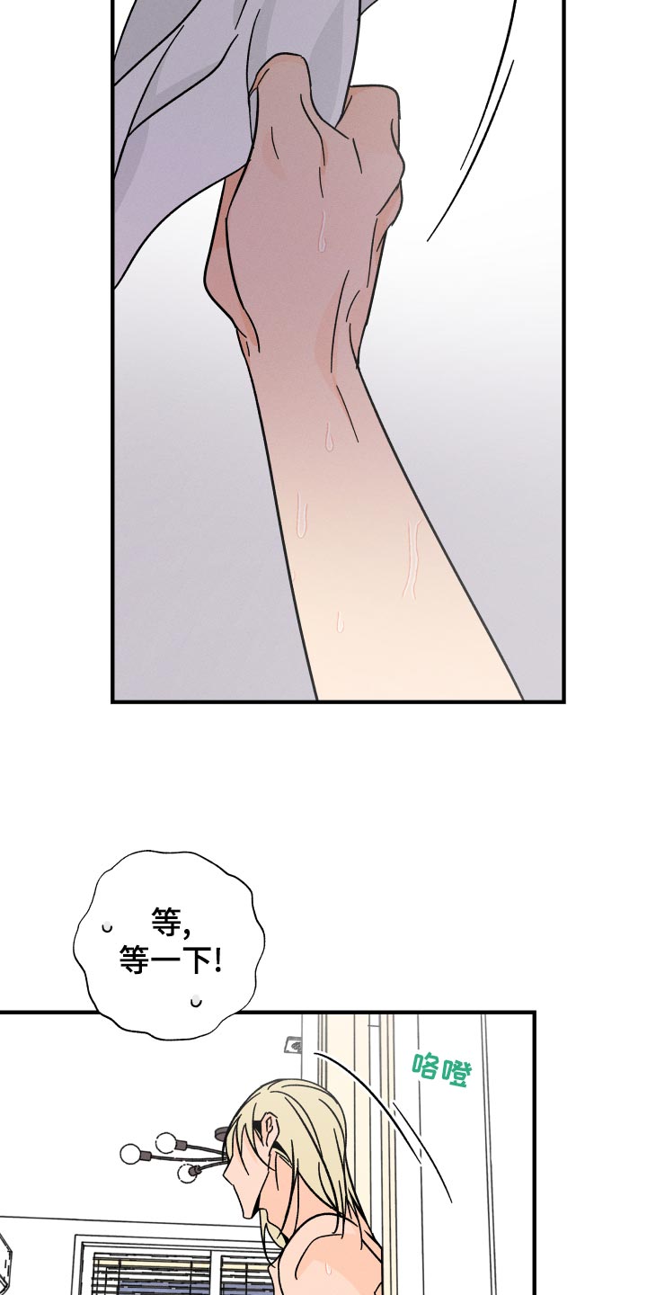 第66章：【番外】捣乱13