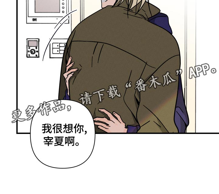 第64章：【番外】打什么主意29