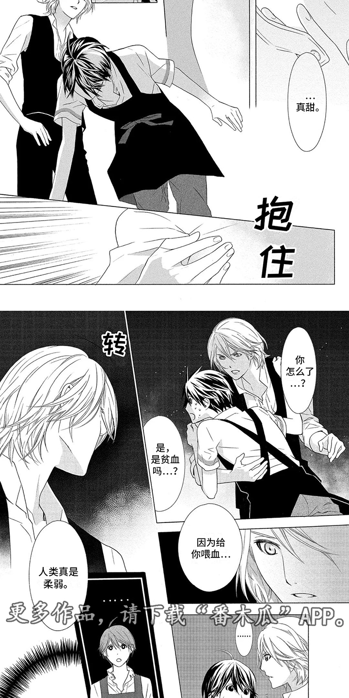 第12章：关心 1