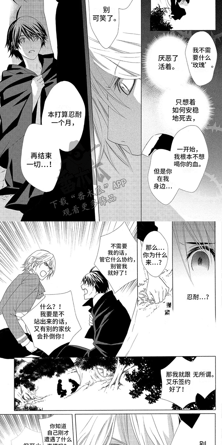 第20章：福音玫瑰6