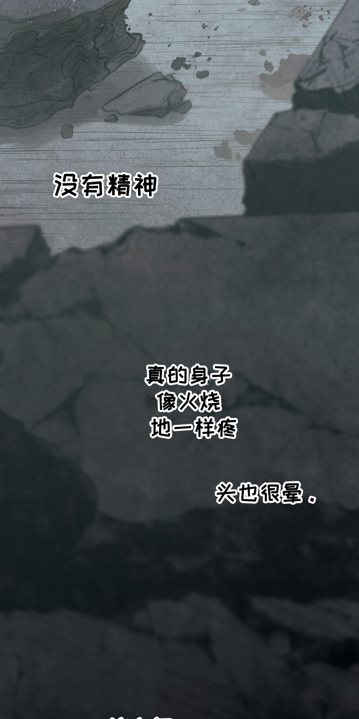 第14章：命中注定13